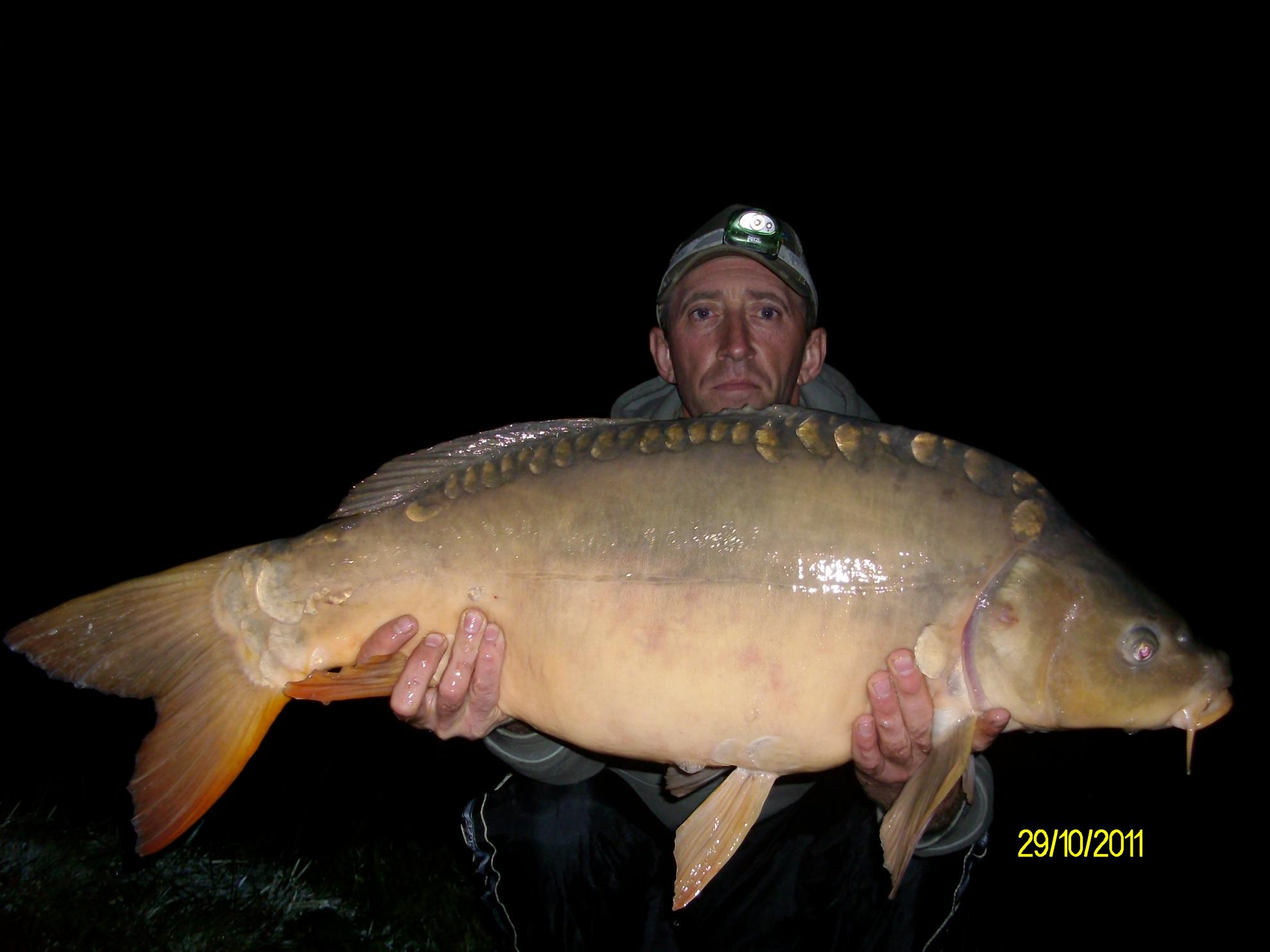 florian tanasa - alim0486.JPG